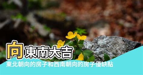 東北向房子|風水上東北朝向的房子優缺點